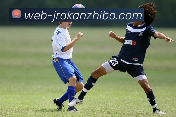 jrakan直播平台生态图